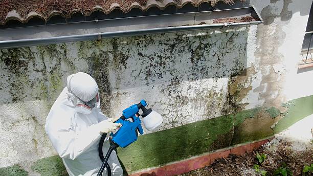 Top rated local Mold Remediation specialists in Christiana, PA